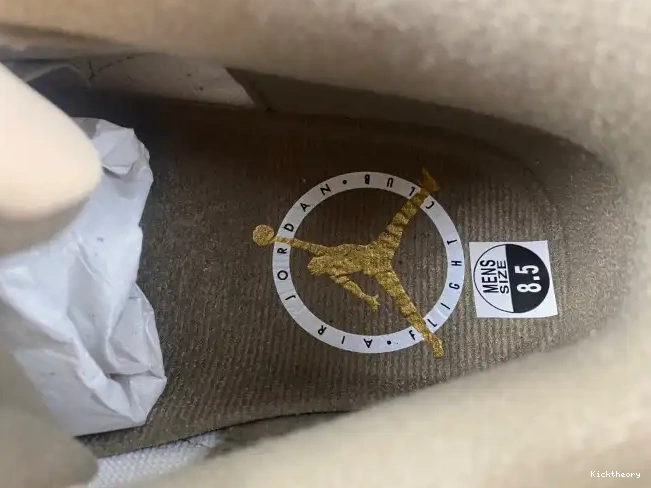 Kicktheory Air Jordan Palomino CT8532-102 3 0607